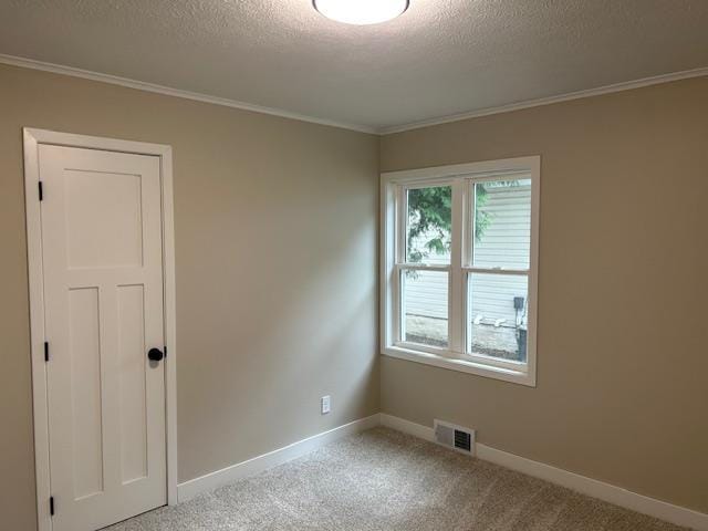 206 3rd St, Minneota, MN 56264 - spare room with a textured ceiling, carpet floors, and ornamental molding