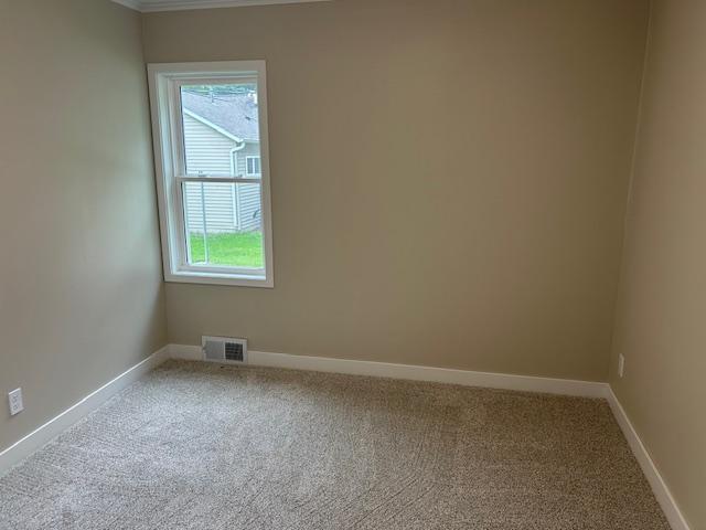 206 3rd St, Minneota, MN 56264 - unfurnished room featuring carpet flooring and ornamental molding