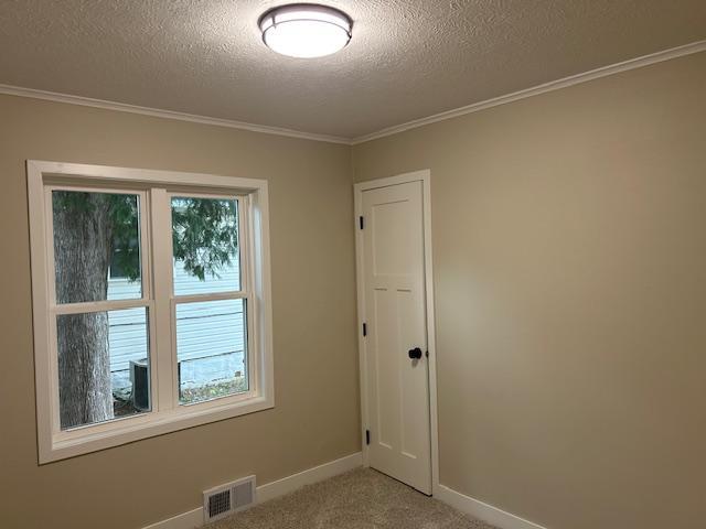 206 3rd St, Minneota, MN 56264 - empty room with a textured ceiling, plenty of natural light, light carpet, and ornamental molding