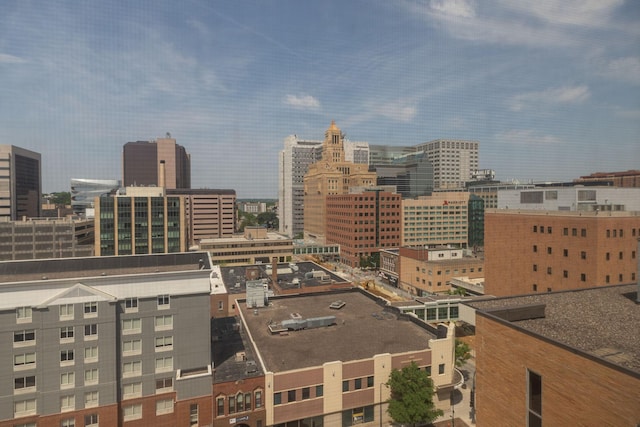 220 Broadway Ave S Unit 1221, Rochester, MN 55904 - view of city