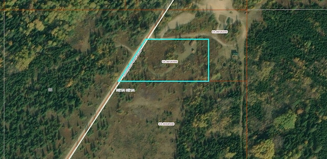 TBD Thompson Forest Rd, Roseau, MN 56751 - aerial map of property and surrounding area