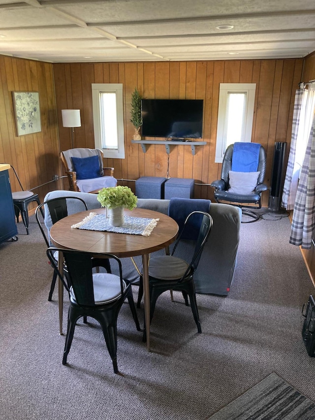 TBD Thompson Forest Rd, Roseau, MN 56751 - carpeted dining room featuring wood walls