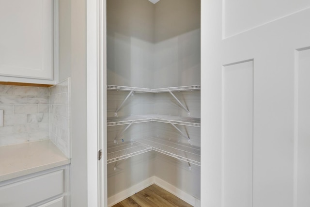 14320 Alder Way, Rosemount, MN 55068 - view of pantry