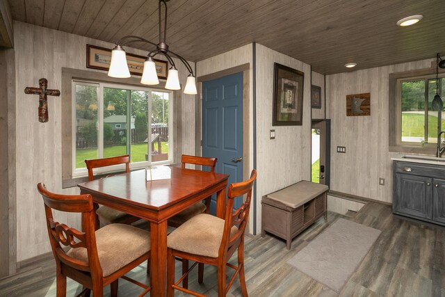 40536 Ryans Bay Rd, Zumbro Twp, MN 55991 - dining area with wood ceiling, plenty of natural light, and wood finished floors
