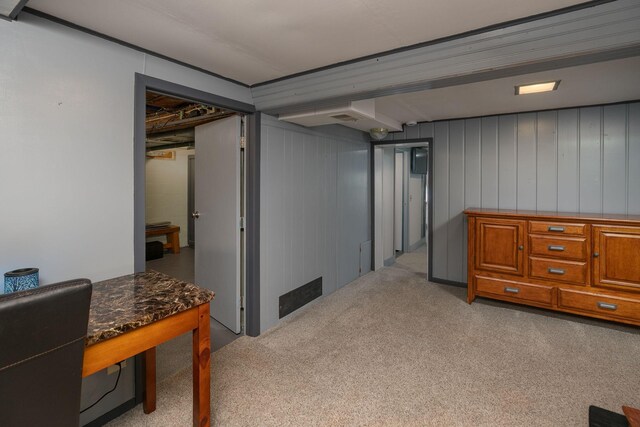 40536 Ryans Bay Rd, Zumbro Twp, MN 55991 - finished basement featuring carpet floors