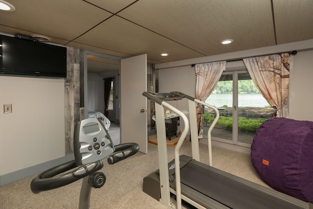 40536 Ryans Bay Rd, Zumbro Twp, MN 55991 - exercise room featuring carpet flooring and recessed lighting