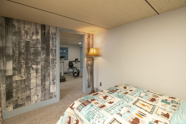 40536 Ryans Bay Rd, Zumbro Twp, MN 55991 - bedroom with carpet floors