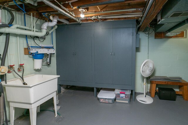 40536 Ryans Bay Rd, Zumbro Twp, MN 55991 - unfinished basement with concrete block wall