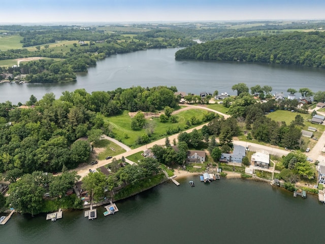 40536 Ryans Bay Rd, Zumbro Twp, MN 55991 - view of property location featuring a nearby body of water and a forest