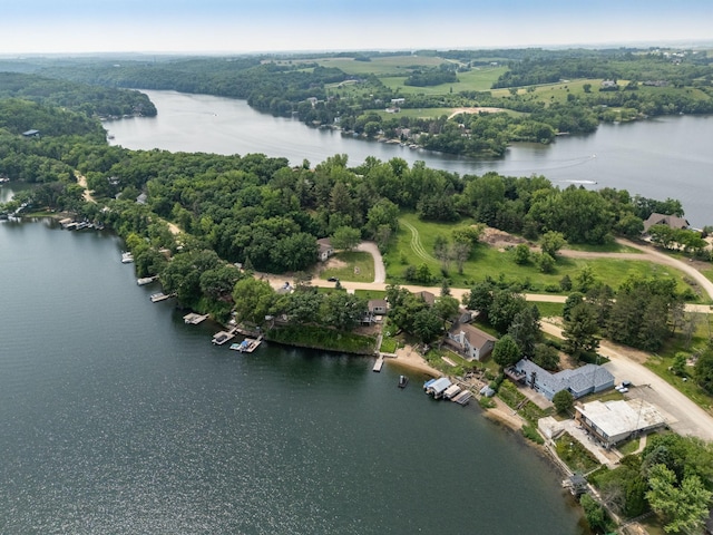 40536 Ryans Bay Rd, Zumbro Twp, MN 55991 - bird's eye view of a large body of water