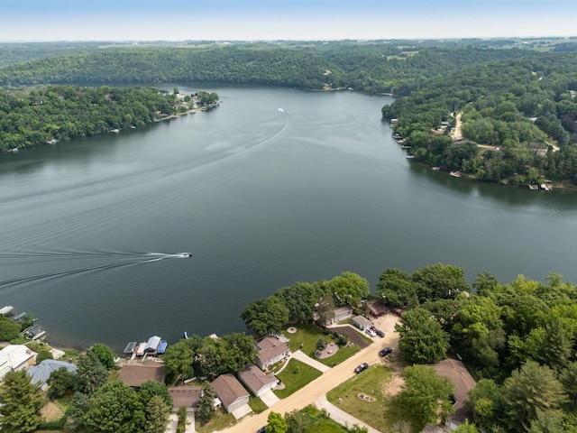 40536 Ryans Bay Rd, Zumbro Twp, MN 55991 - drone / aerial view of a large body of water and a heavily wooded area