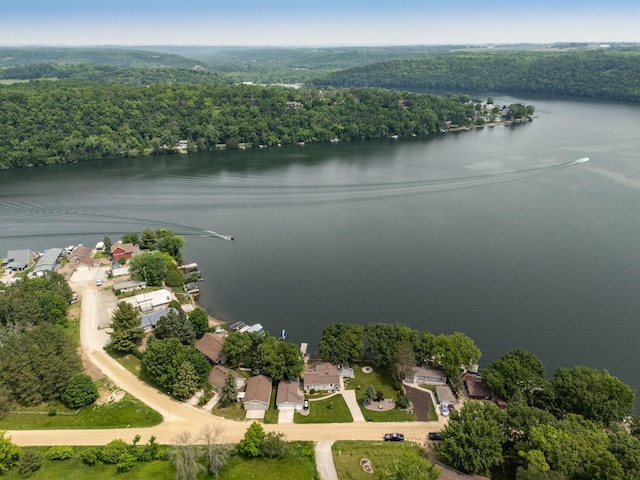 40536 Ryans Bay Rd, Zumbro Twp, MN 55991 - view of property location featuring a nearby body of water and a forest