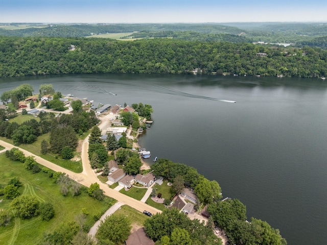 40536 Ryans Bay Rd, Zumbro Twp, MN 55991 - aerial view of property's location featuring a nearby body of water and a forest
