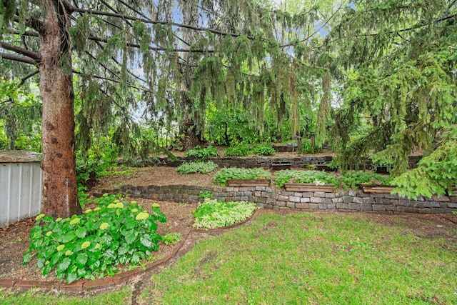 2709 Ewing Ave N, Robbinsdale, MN 55422 - view of yard