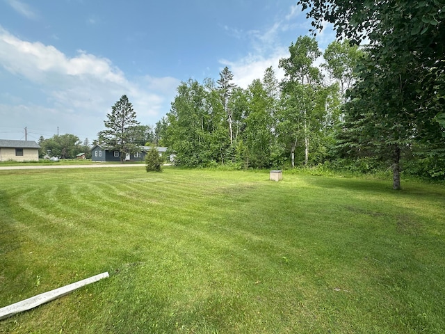 200 Park Ave, Williams, MN 56686 - view of grassy yard