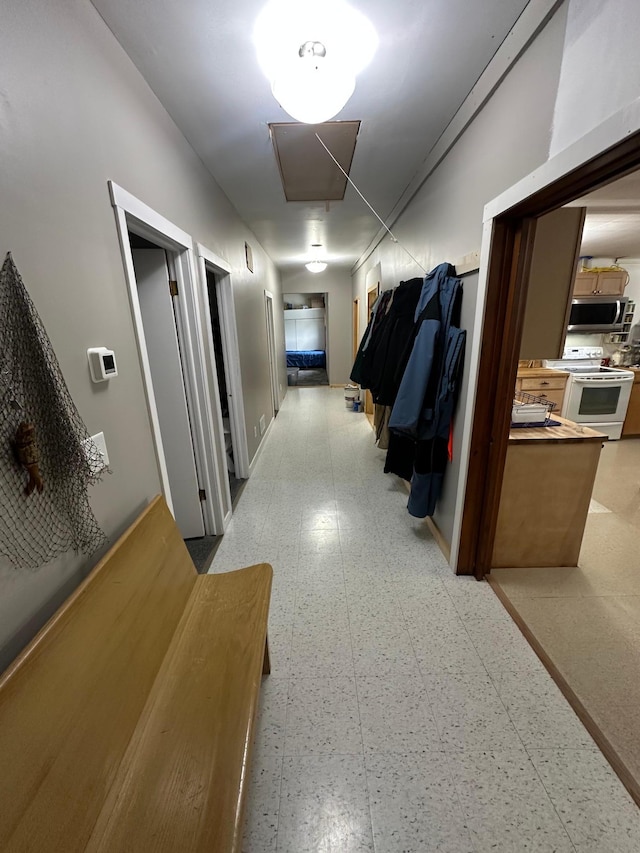 200 Park Ave, Williams, MN 56686 - hallway with light floors and attic access