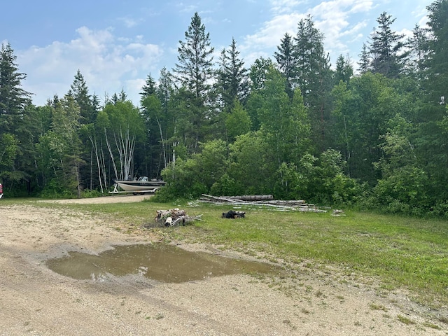 200 Park Ave, Williams, MN 56686 - view of yard with a view of trees