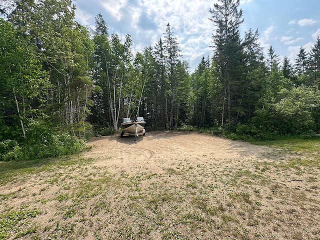 200 Park Ave, Williams, MN 56686 - view of yard with a wooded view