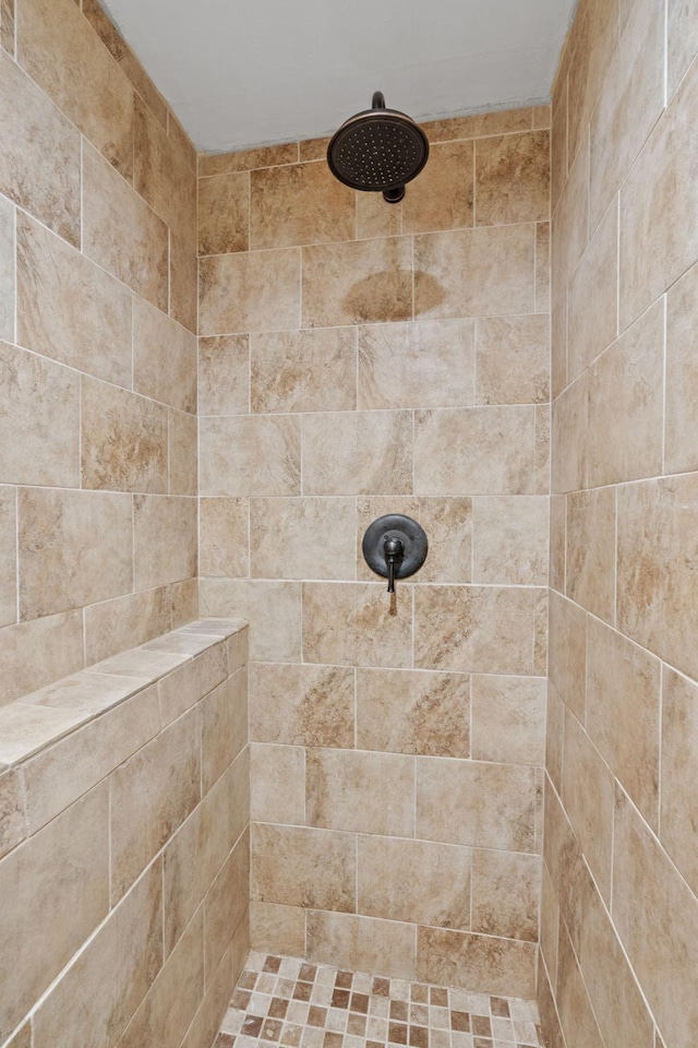 13048 Jay St NW, Coon Rapids, MN 55448 - bathroom featuring tiled shower