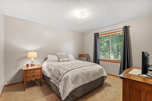 13048 Jay St NW, Coon Rapids, MN 55448 - bedroom featuring light colored carpet and a textured ceiling