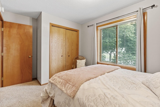 13048 Jay St NW, Coon Rapids, MN 55448 - bedroom with a closet, carpet flooring, and a textured ceiling