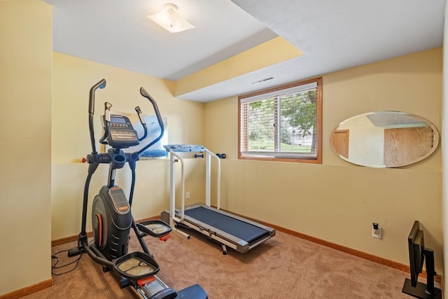 13048 Jay St NW, Coon Rapids, MN 55448 - exercise area with carpet