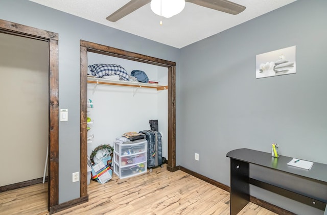 204 Sidney St E, Morristown, MN 55052 - foyer with ceiling fan and wood finished floors