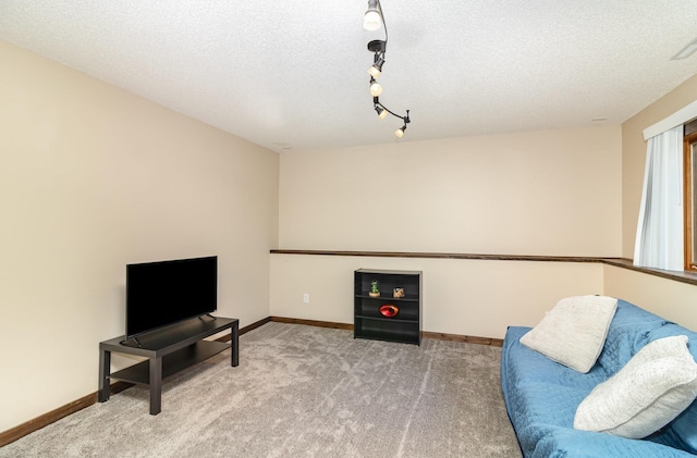 204 Sidney St E, Morristown, MN 55052 - sitting room featuring carpet floors, a textured ceiling, and track lighting