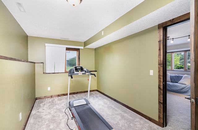 204 Sidney St E, Morristown, MN 55052 - exercise room featuring carpet floors and baseboards