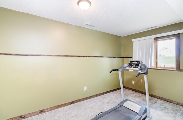 204 Sidney St E, Morristown, MN 55052 - exercise area with carpet flooring and a textured ceiling