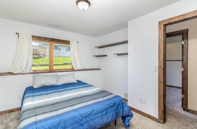 204 Sidney St E, Morristown, MN 55052 - carpeted bedroom with baseboards