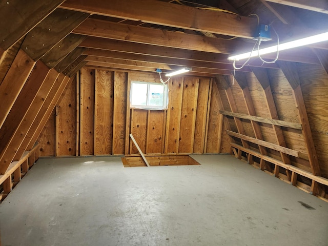 204 Sidney St E, Morristown, MN 55052 - view of unfinished attic