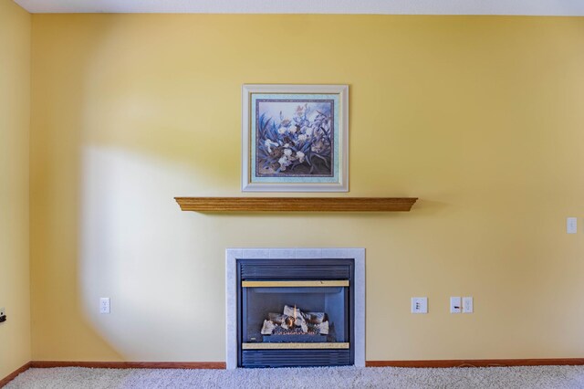1152 Crystal Pl W, Chaska, MN 55318 - detailed view of carpet and a fireplace