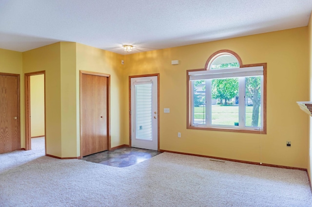 1152 Crystal Pl W, Chaska, MN 55318 - foyer entrance with carpet flooring and a textured ceiling
