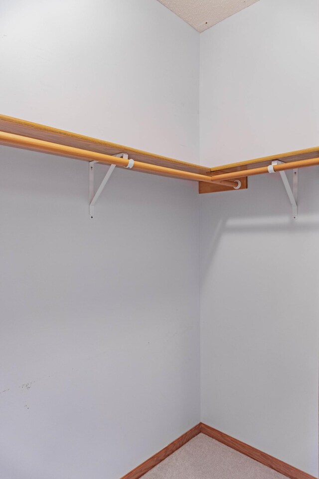 1152 Crystal Pl W, Chaska, MN 55318 - walk in closet with carpet flooring