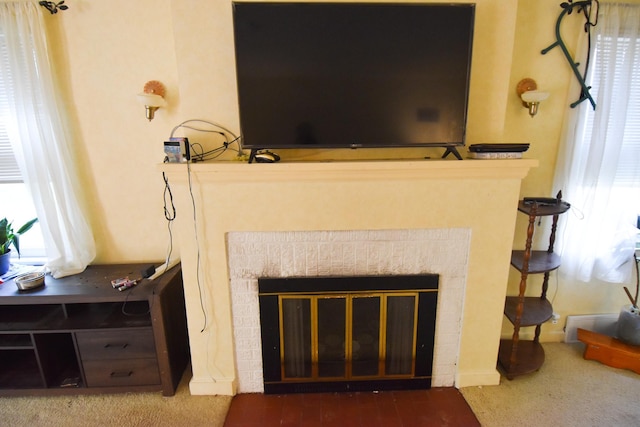 145 Riverside Dr, Stephen, MN 56757 - detailed view of a fireplace and carpet