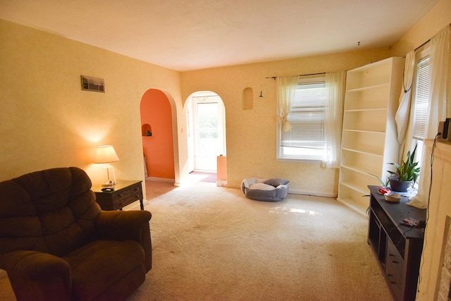 145 Riverside Dr, Stephen, MN 56757 - sitting room featuring arched walkways and carpet flooring