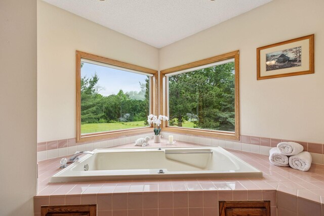 2771 County Line Ave, Osceola, WI 54020 - full bathroom with a garden tub, plenty of natural light, and a textured ceiling