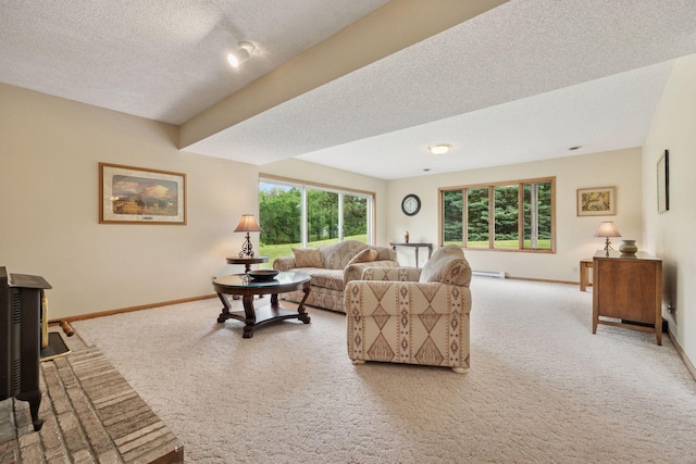 2771 County Line Ave, Osceola, WI 54020 - carpeted living room with a textured ceiling, a baseboard radiator, and a wood stove