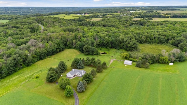 2771 County Line Ave, Osceola, WI 54020 - view of rural area featuring a heavily wooded area