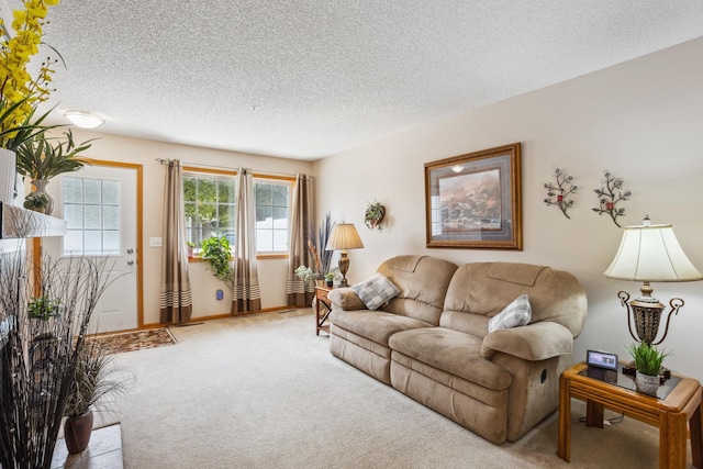 3307 Coleshire Path Unit 14, Rosemount, MN 55068 - living room featuring carpet and a textured ceiling