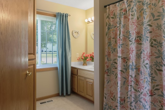 18566 Gladstone Blvd N, Maple Grove, MN 55311 - full bathroom with vanity, healthy amount of natural light, and a shower with curtain