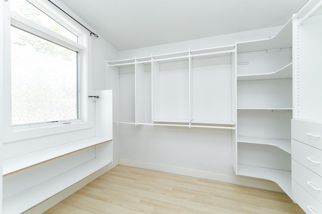 510 24th St SW, Rochester, MN 55902 - spacious closet featuring wood finished floors