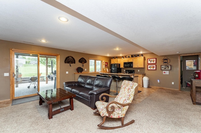 1833 Shannon Oaks Blvd NE, Rochester, MN 55906 - photo 28