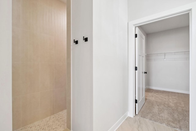 10180 Shadyview Ln N, Maple Grove, MN 55311 - bathroom with a tile shower and a spacious closet