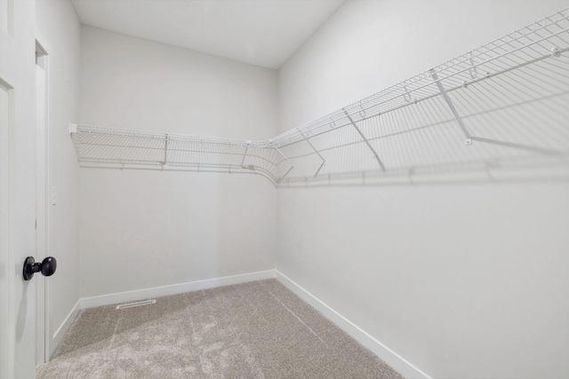 10180 Shadyview Ln N, Maple Grove, MN 55311 - spacious closet featuring carpet