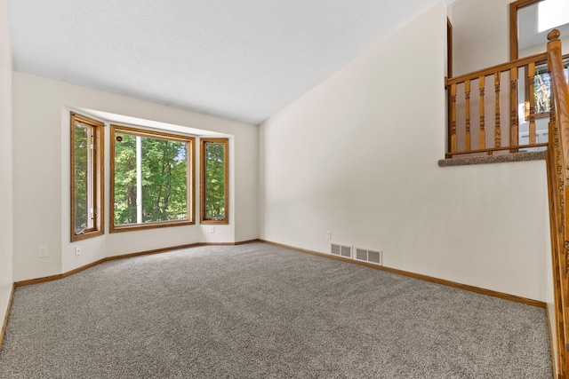 17865 Fillmore St NE, Ham Lake, MN 55304 - empty room featuring carpet flooring and lofted ceiling