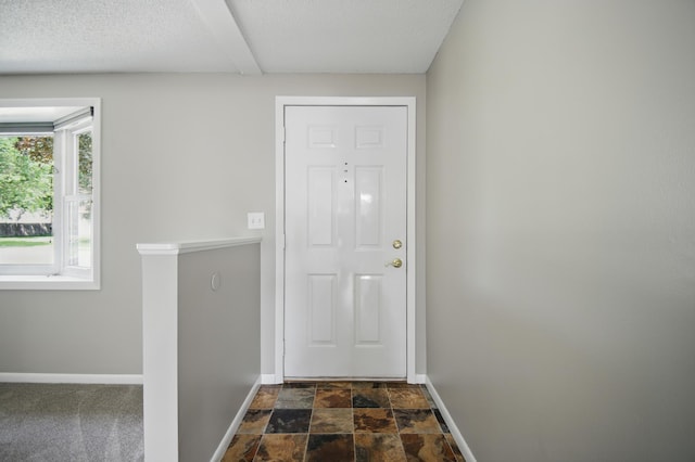455 Sylvan St, Owatonna, MN 55060 - entryway featuring baseboards and dark stone finish floors