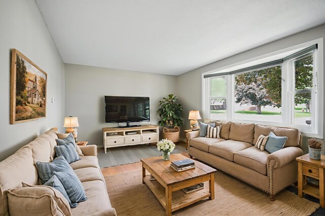 455 Sylvan St, Owatonna, MN 55060 - living area featuring wood finished floors