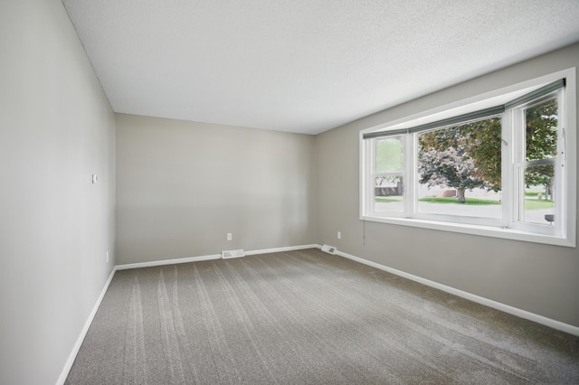 455 Sylvan St, Owatonna, MN 55060 - unfurnished room featuring carpet floors and baseboards